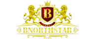 Bnorthstar Skin & Hair Care Online Store